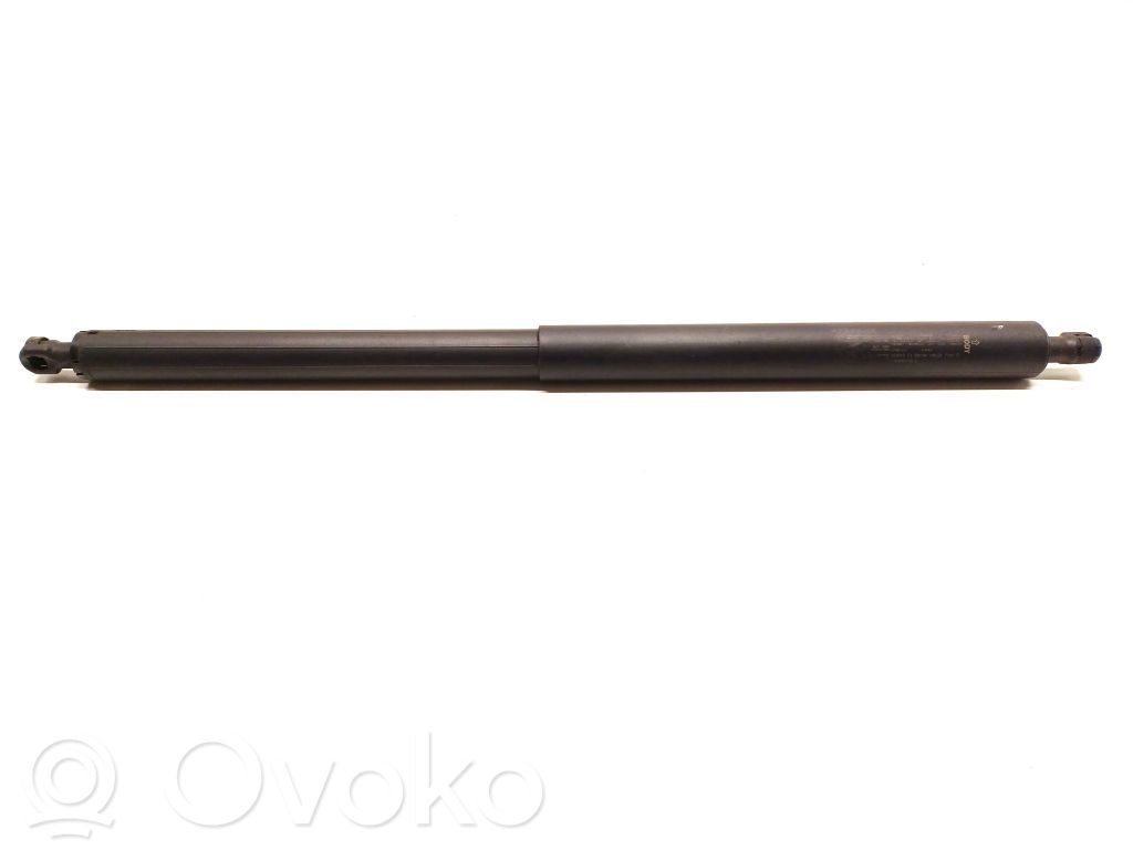 Tesla Model Y Tailgate strut 