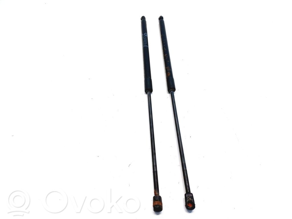 Tailgate strut   AM51U406A10AF