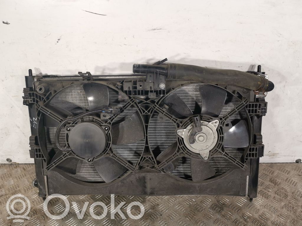 Radiator set   100331