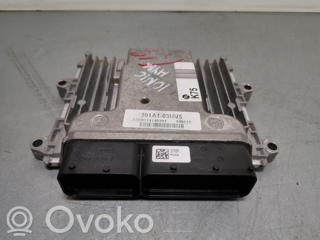Hyundai Ioniq Engine control unit/module 