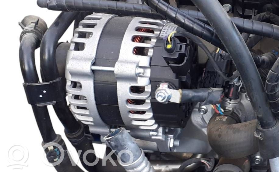 Generator/alternator   110800014AA