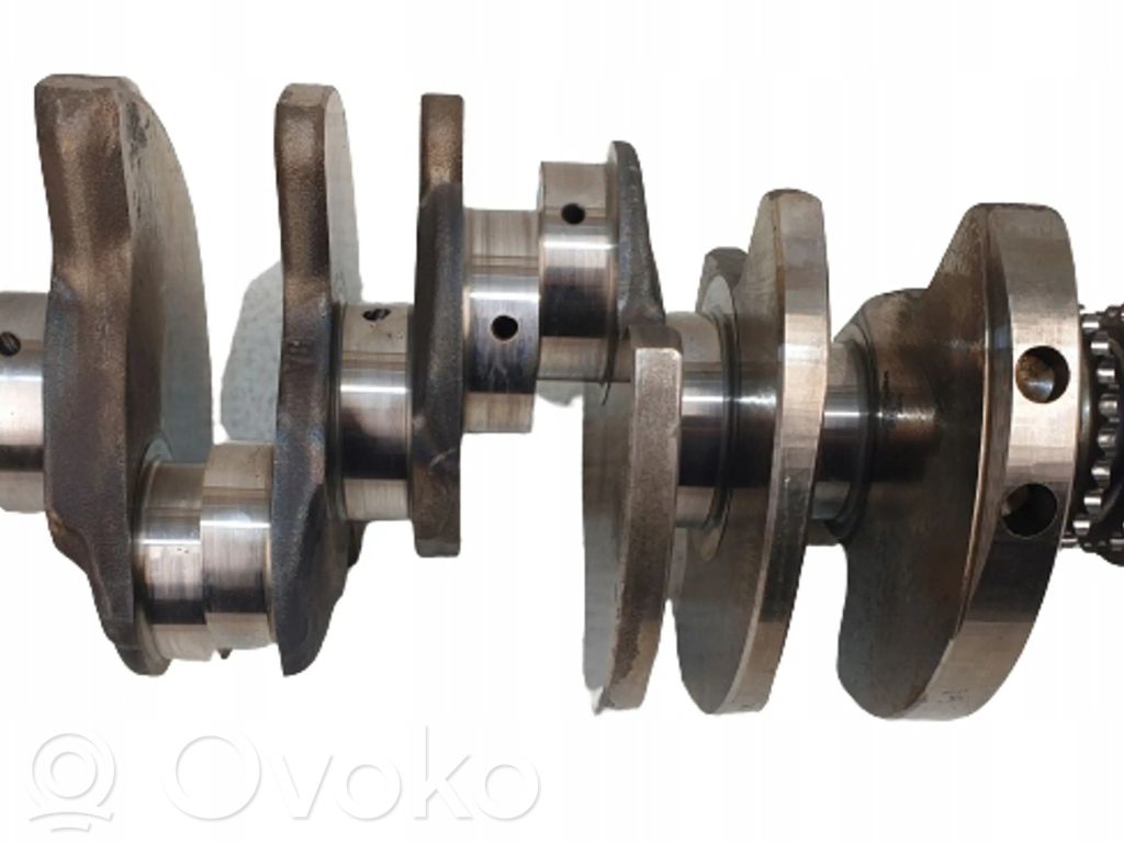 Kloķvārpsta   059101AE