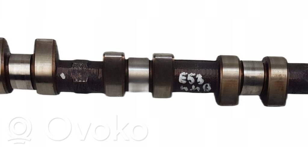 Sadales vārpsta   1745497