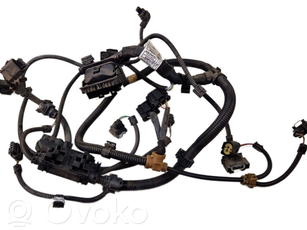 Engine installation wiring loom   7619134,7619138
