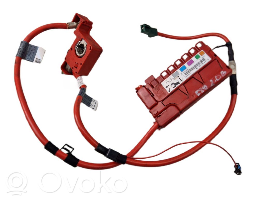 BMW Z4 E89 Autres unités de commande / modules 