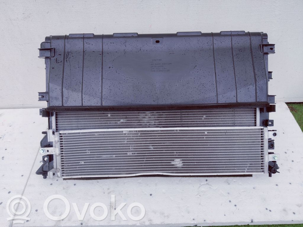 Radiator set   29135CV000,253L0GL100