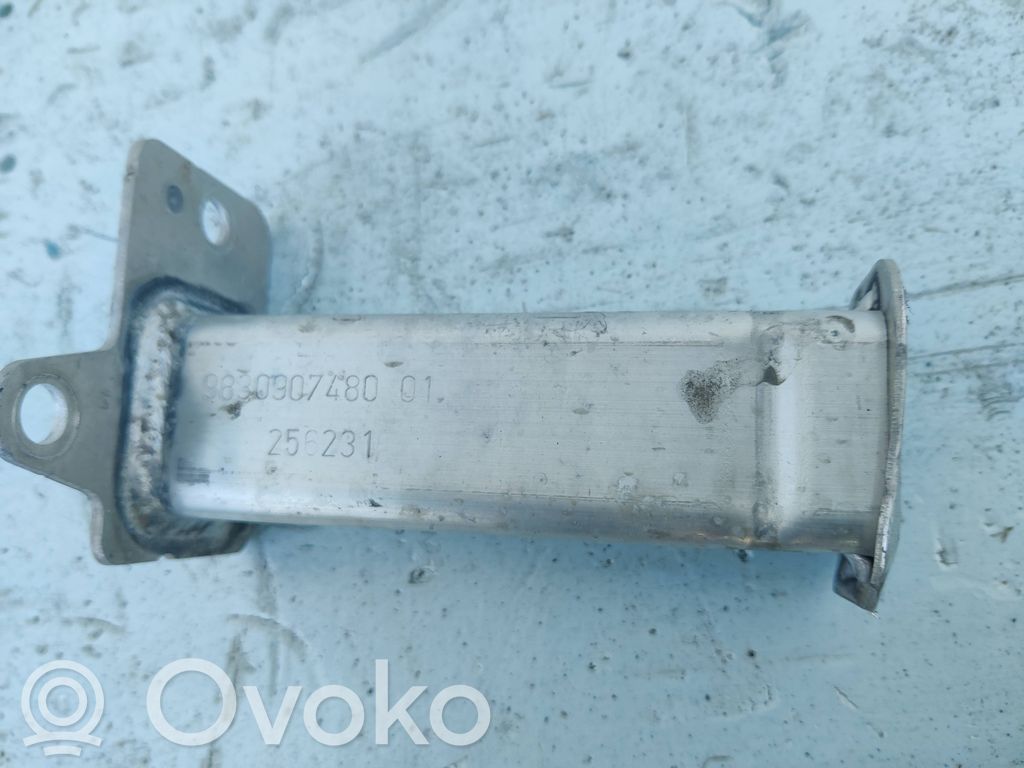 Opel Corsa F Amortizor/atenuator șoc bară față 
