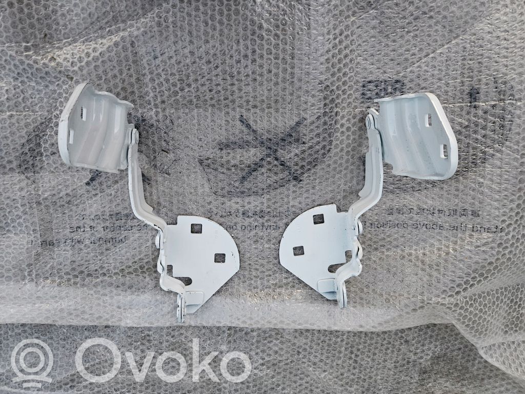 Tesla Model 3 Engine bonnet/hood hinges 