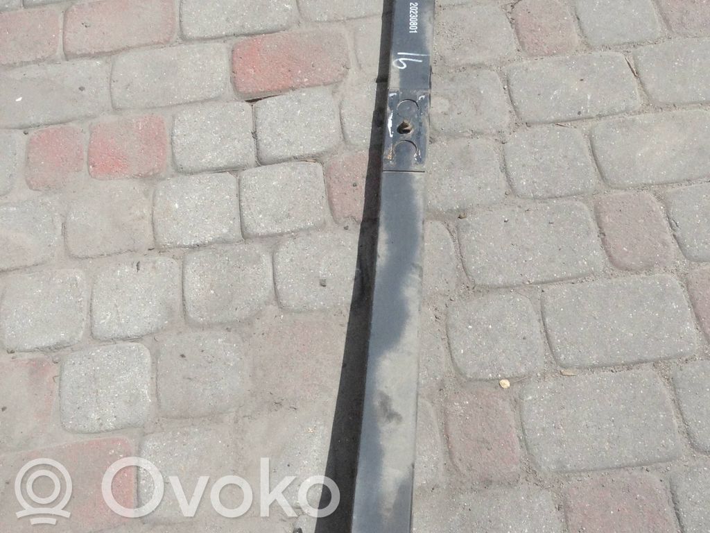 Takalehtijousi   C00379670,20230801