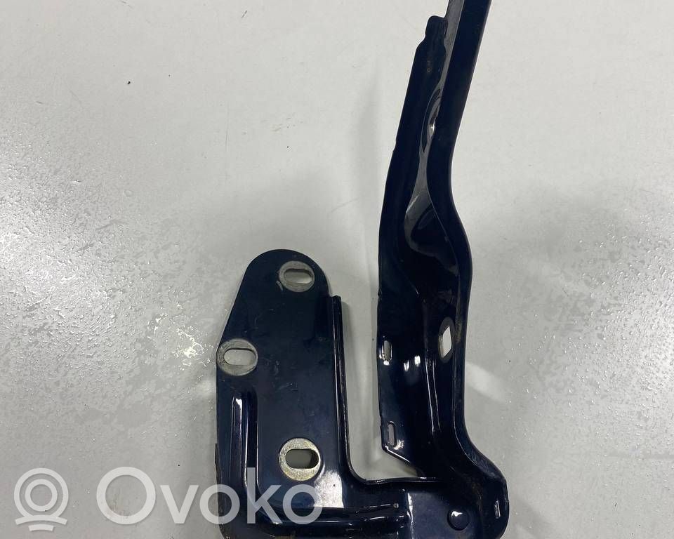 Porsche Cayenne (92A) Cerniere del vano motore/cofano 
