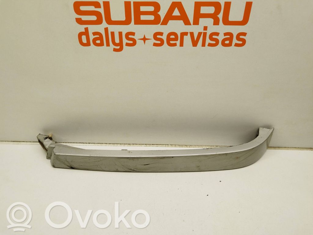 Under headlight/headlamp trim