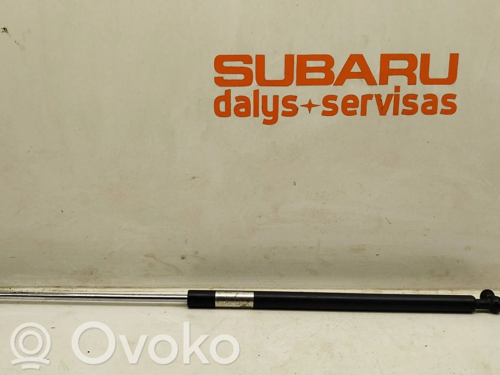 Tailgate/trunk strut/damper