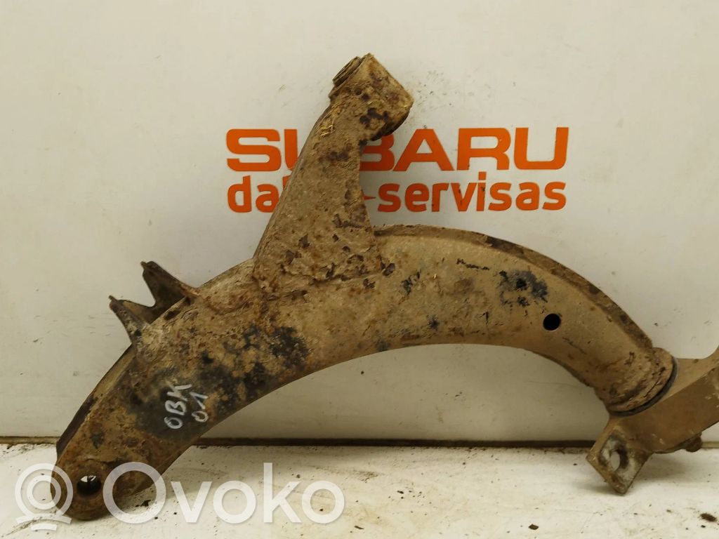 Front lower control arm/wishbone