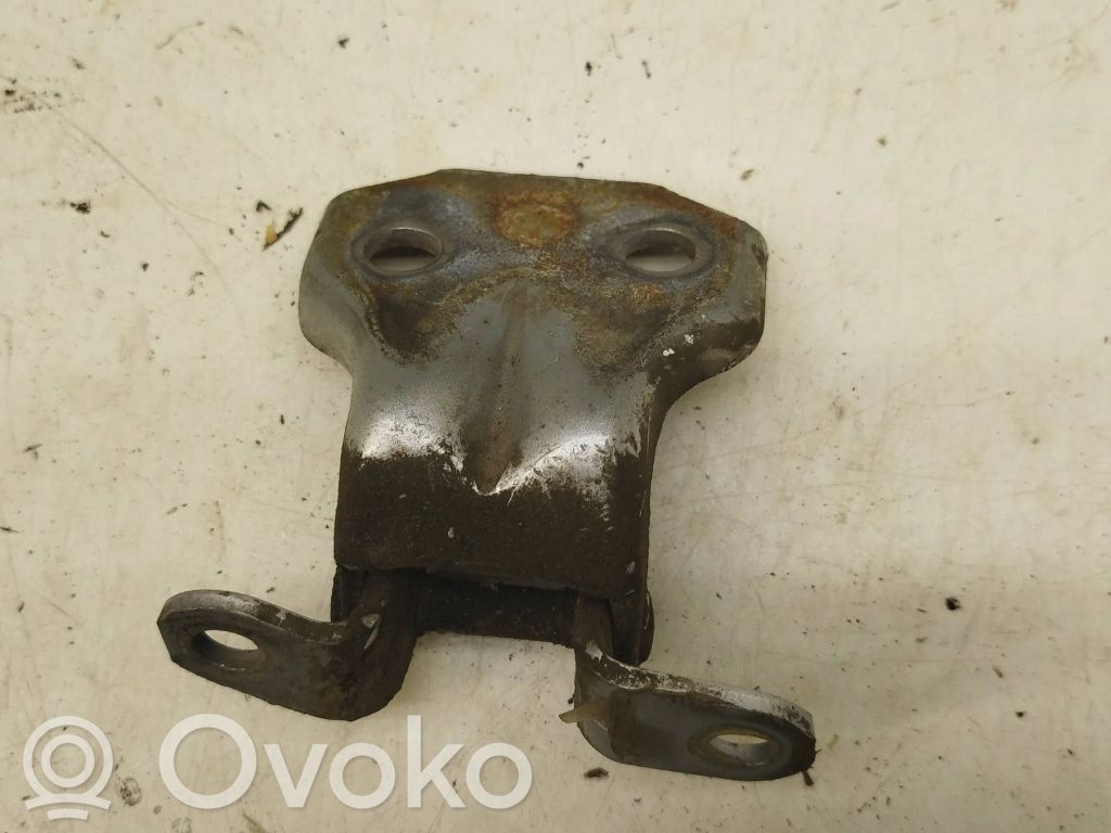 Front door lower hinge   NFB