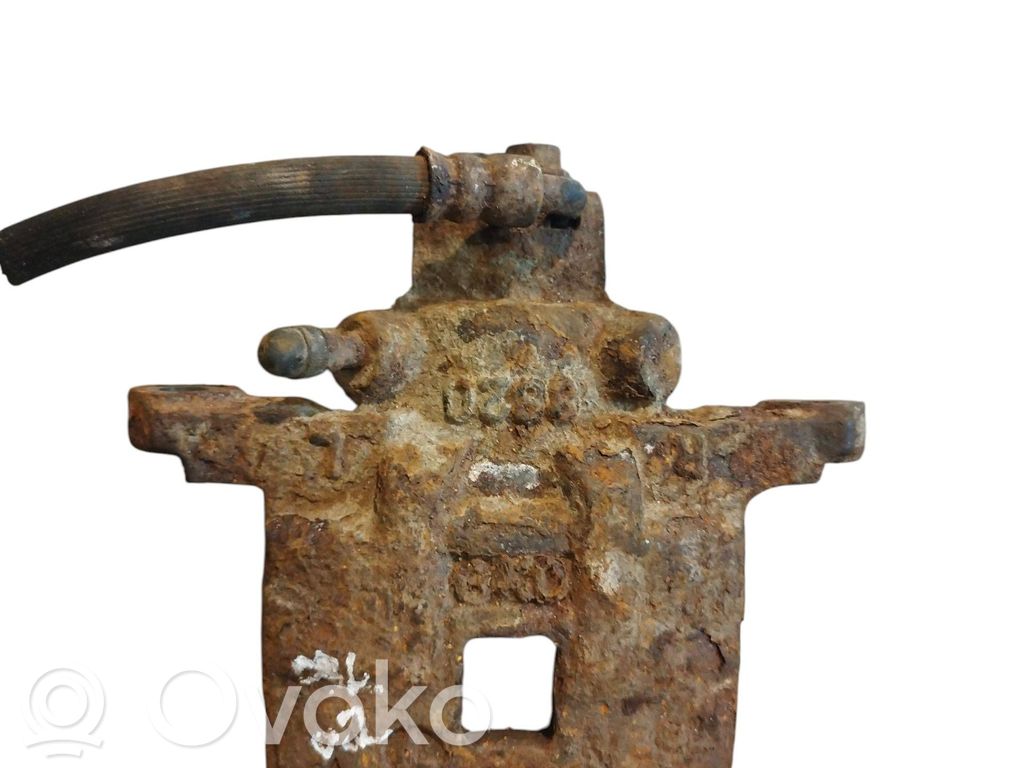 Takajarrusatula