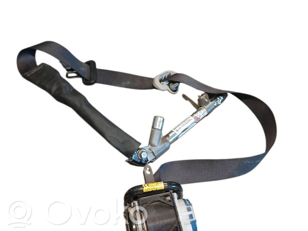 Cinturón delantero   305257810,1077419