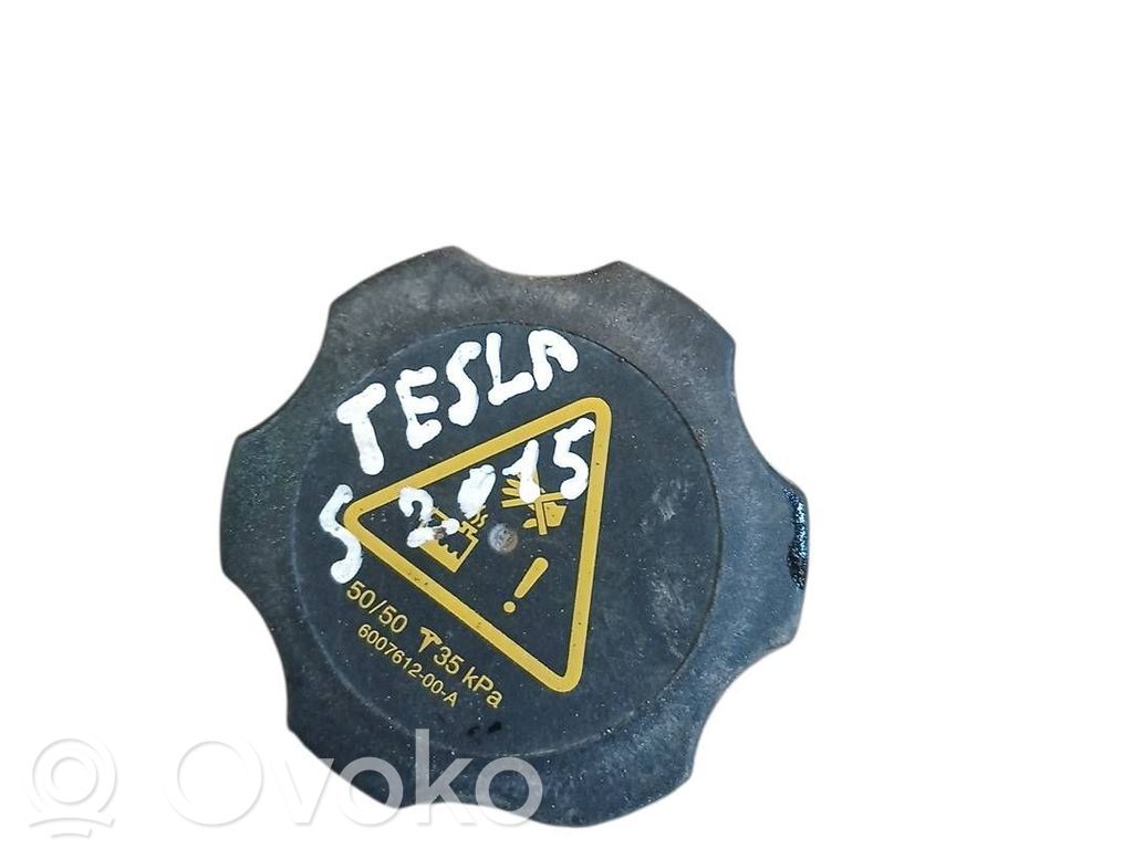 Tesla Model S Aušinimo skysčio išsiplėtimo bakelis 