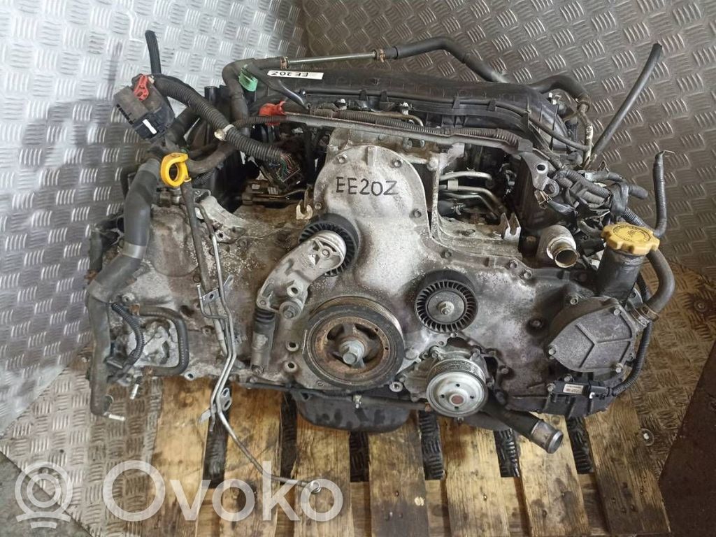 Engine   EE20Z