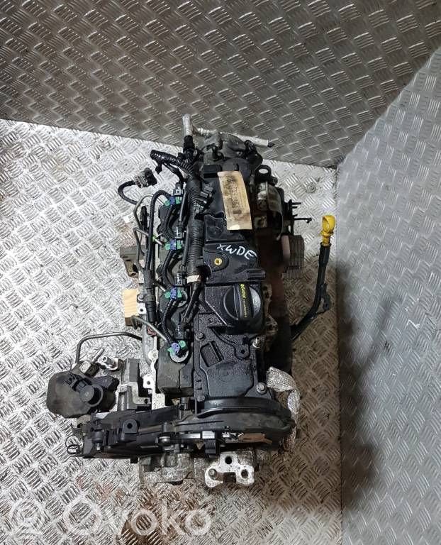 Ford Focus Motore 