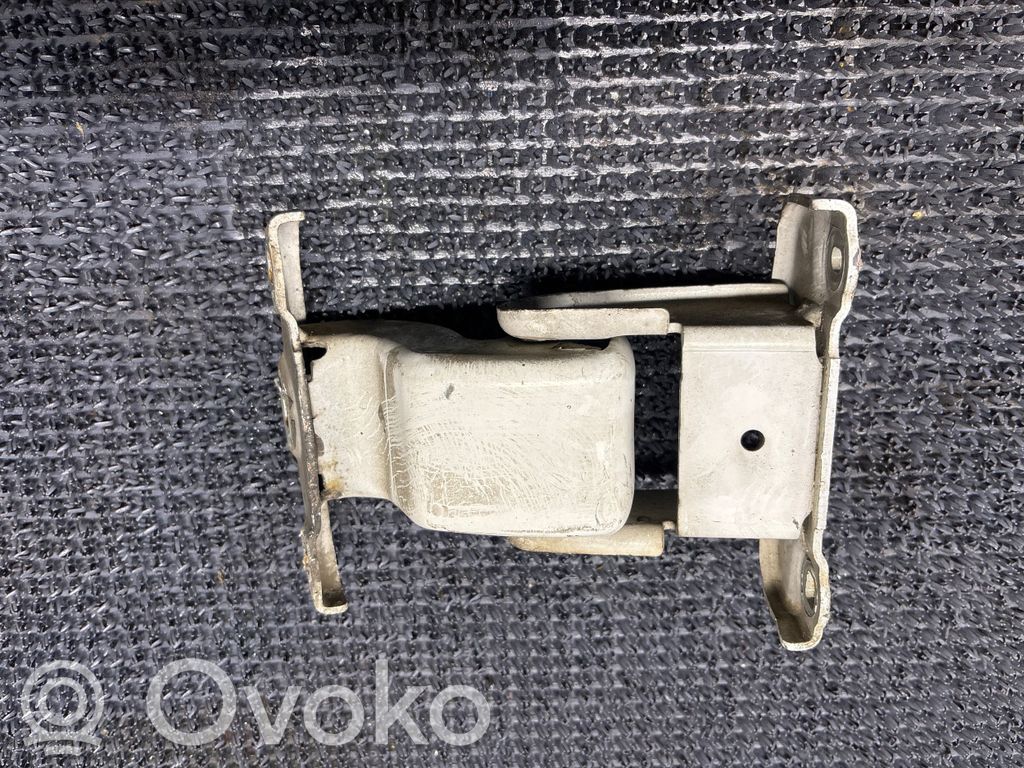 Tailgate/trunk/boot hinge   312304K,66379