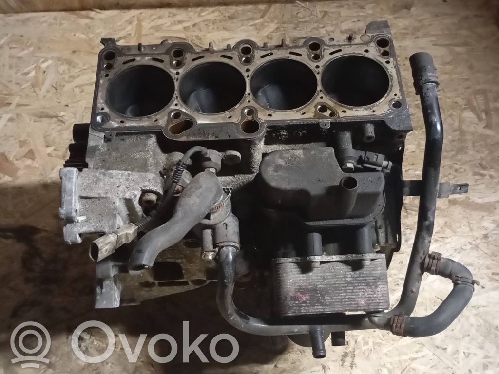Volkswagen PASSAT B6 Blokas 