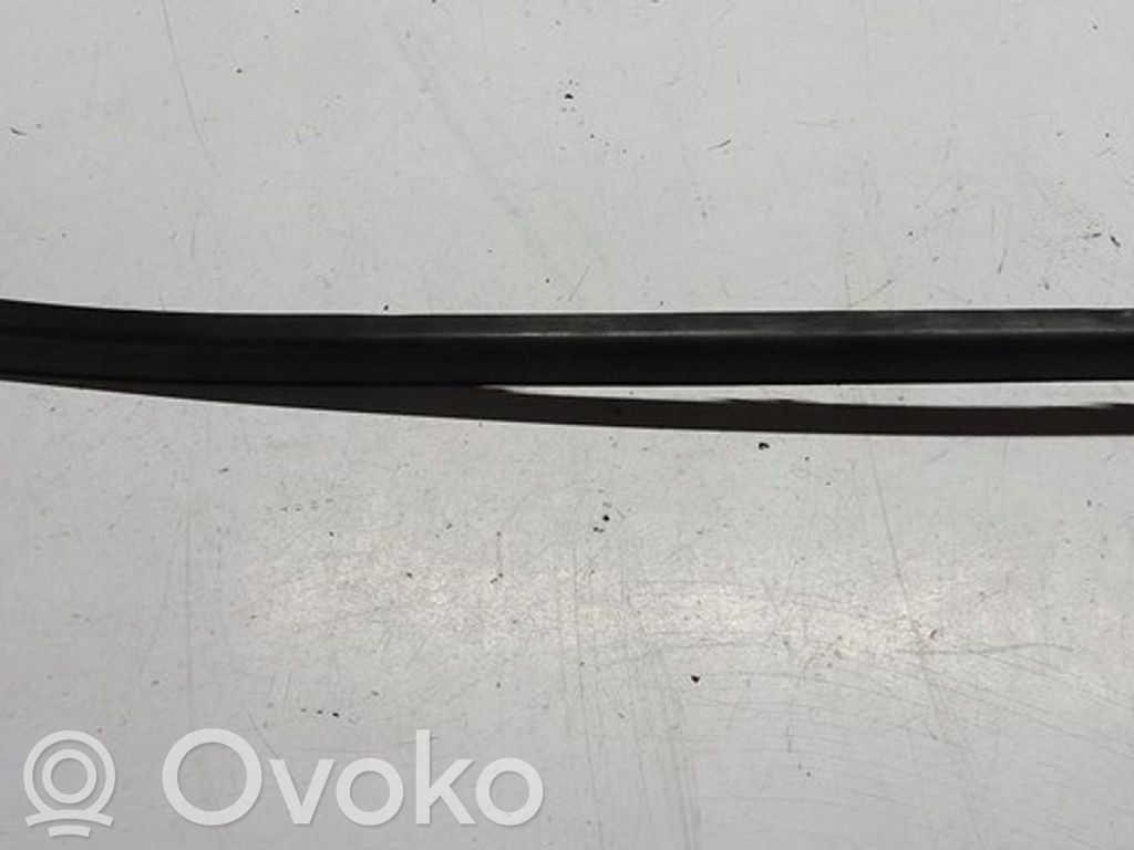 Windshield trim   9688471580,9686219510