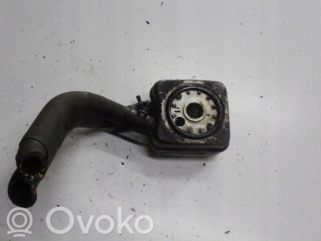 Volkswagen Phaeton Mocowanie / uchwyt filtra oleju 