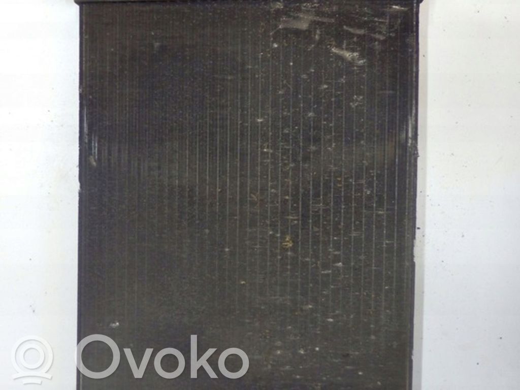 Renault Clio III Coolant radiator 