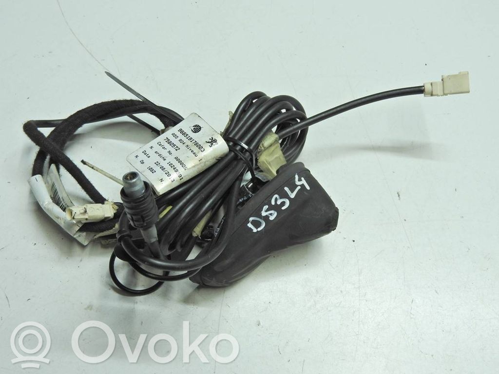 Citroen DS3 Antena de radio 