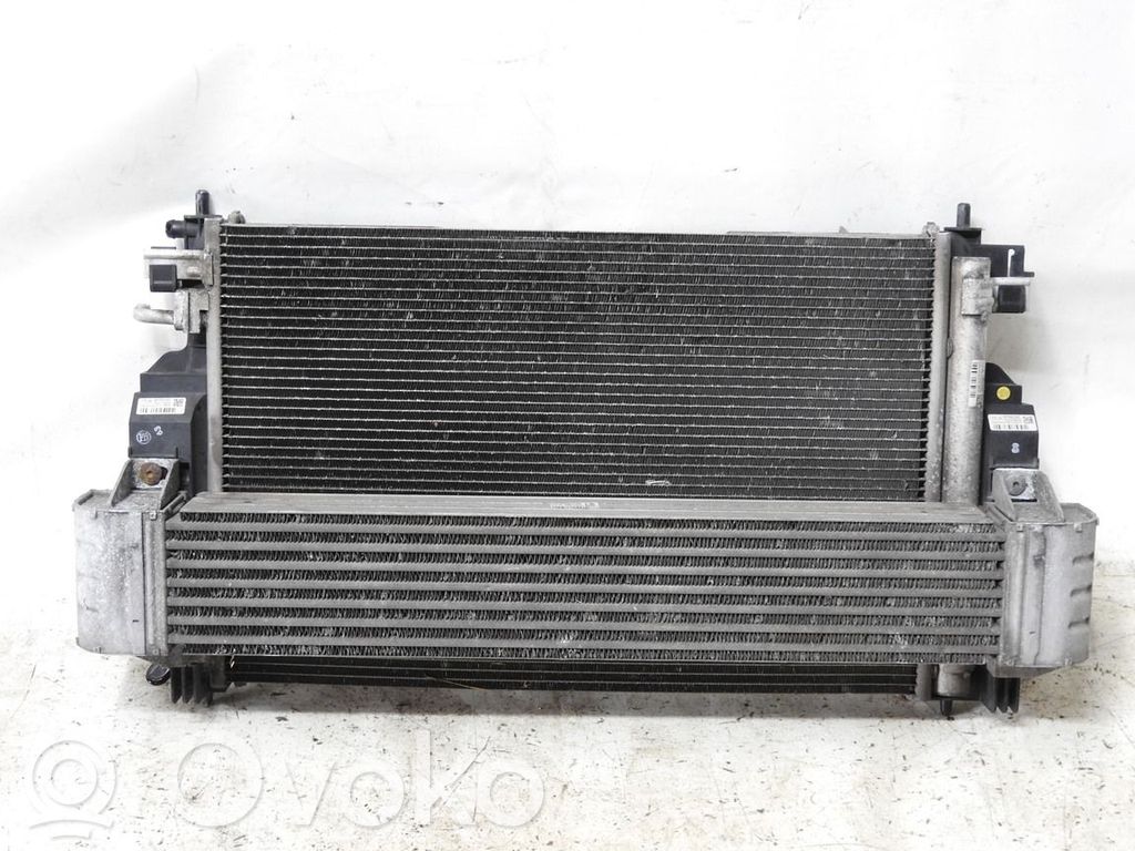 Citroen DS4 Radiator set 