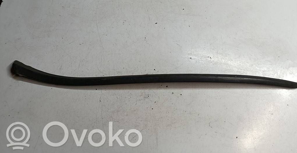 Citroen DS4 Windshield trim 