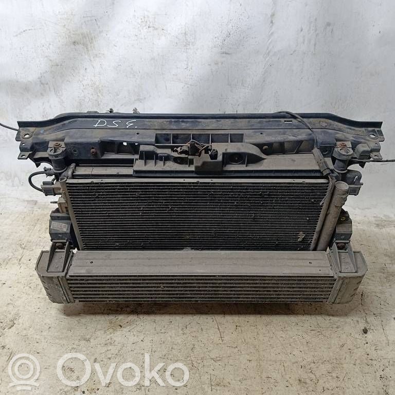 Citroen DS4 Radiator set 