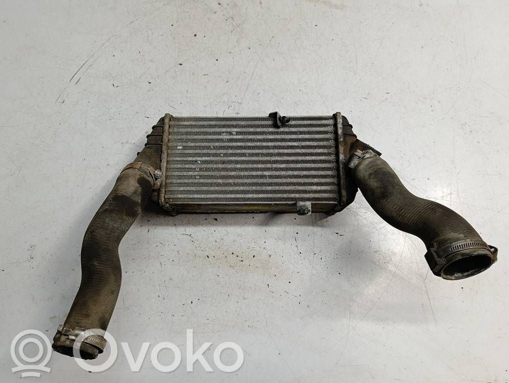 Ladeluftkühler   282702A770