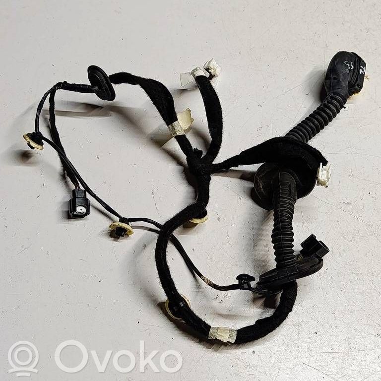 Cableado de puerta trasera   241278113RS5,241278113R