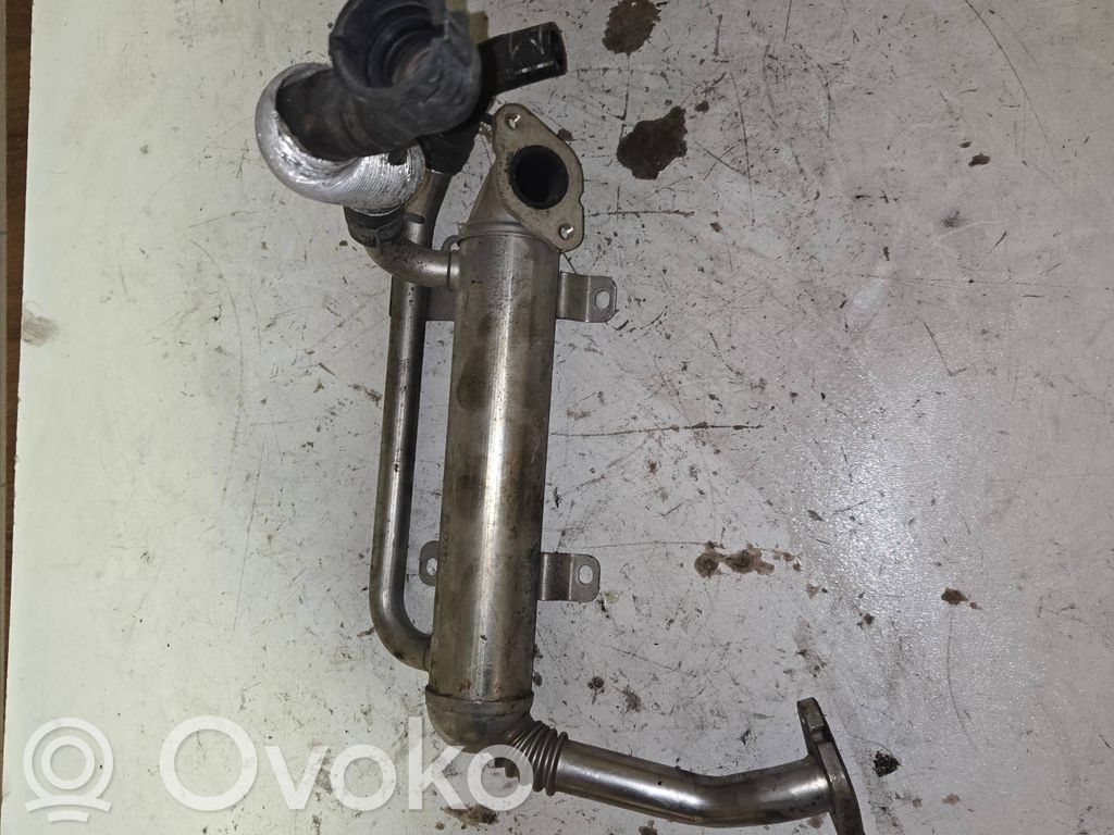 Volkswagen Polo IV 9N3 Chłodnica spalin EGR 