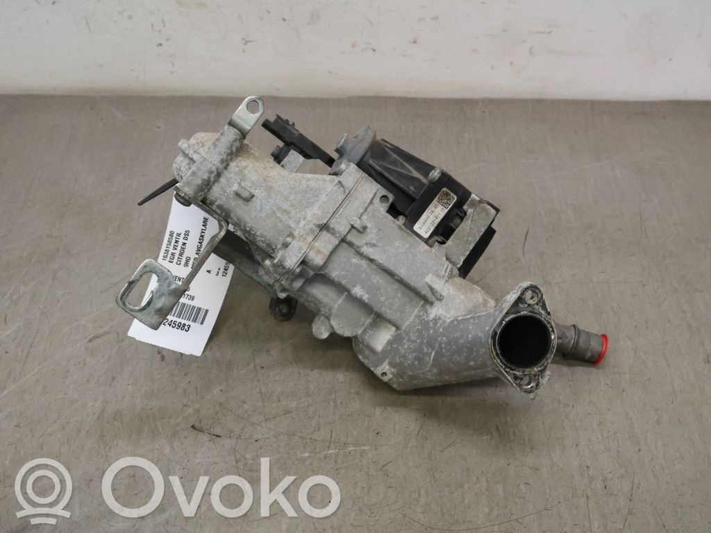 Citroen DS5 EGR valve 