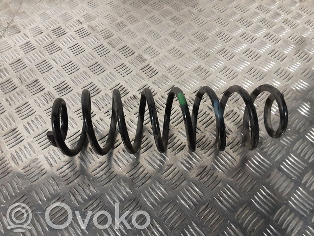 Rear coil spring