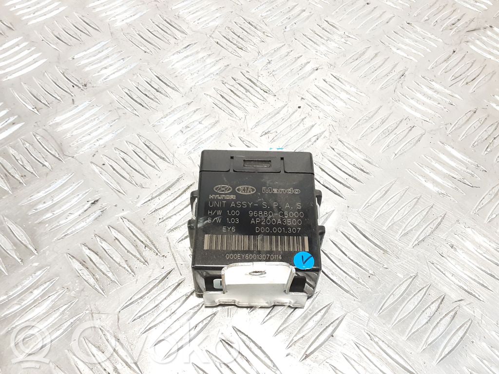 KIA Sorento Other control units/modules 