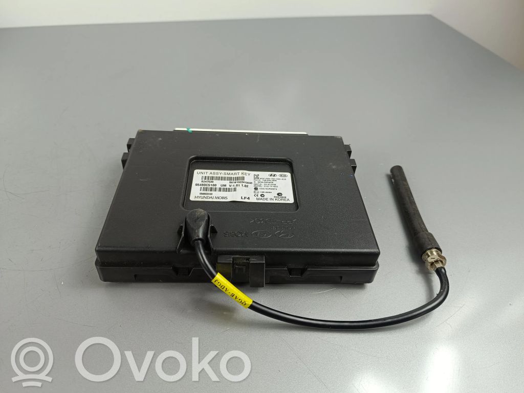 KIA Sorento Other control units/modules 