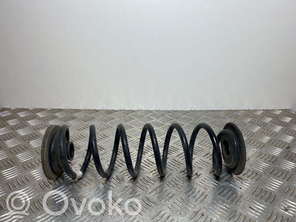 Rear coil spring