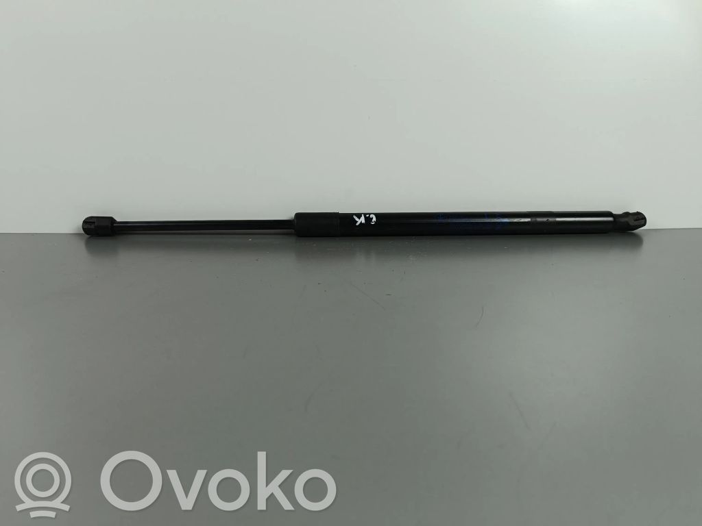 Jeep Compass Tailgate/trunk strut/damper 