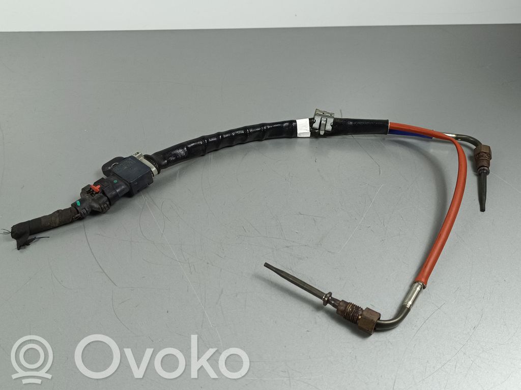 Renault Arkana Зонд «Lambda» 