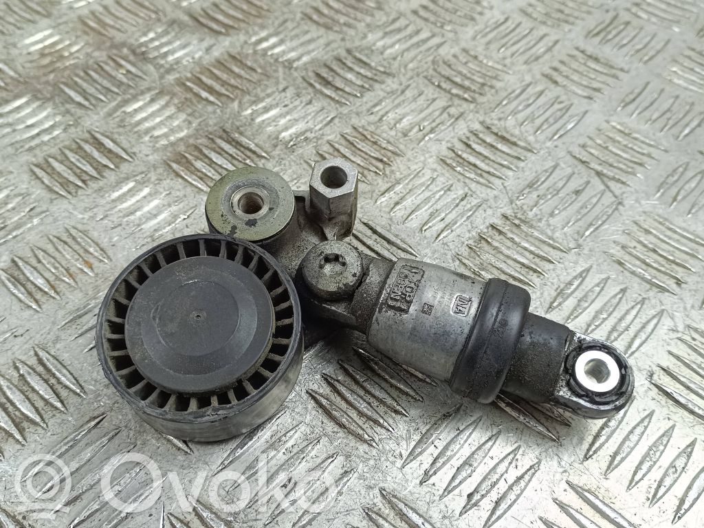 Diržo įtempėjas   PE0315980,K0255,F56989713
