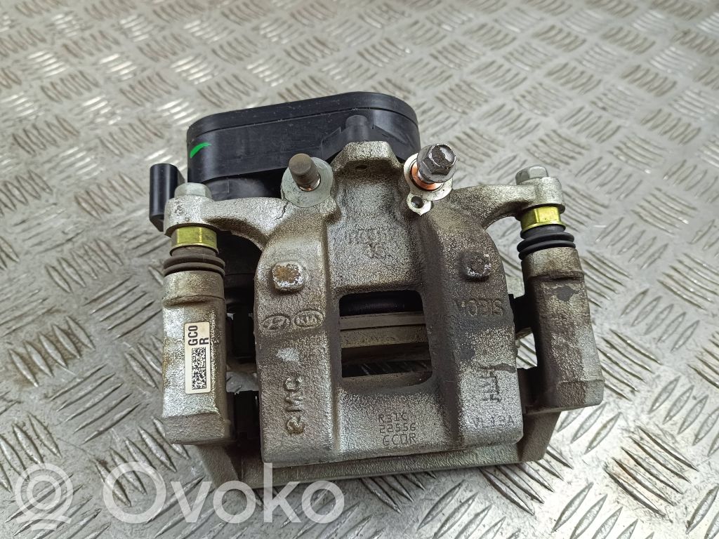 Takajarrusatula   T158237700,2212221547