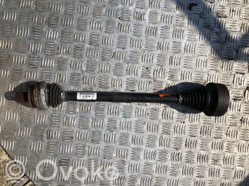 Volkswagen Golf VI Galinis pusašis 