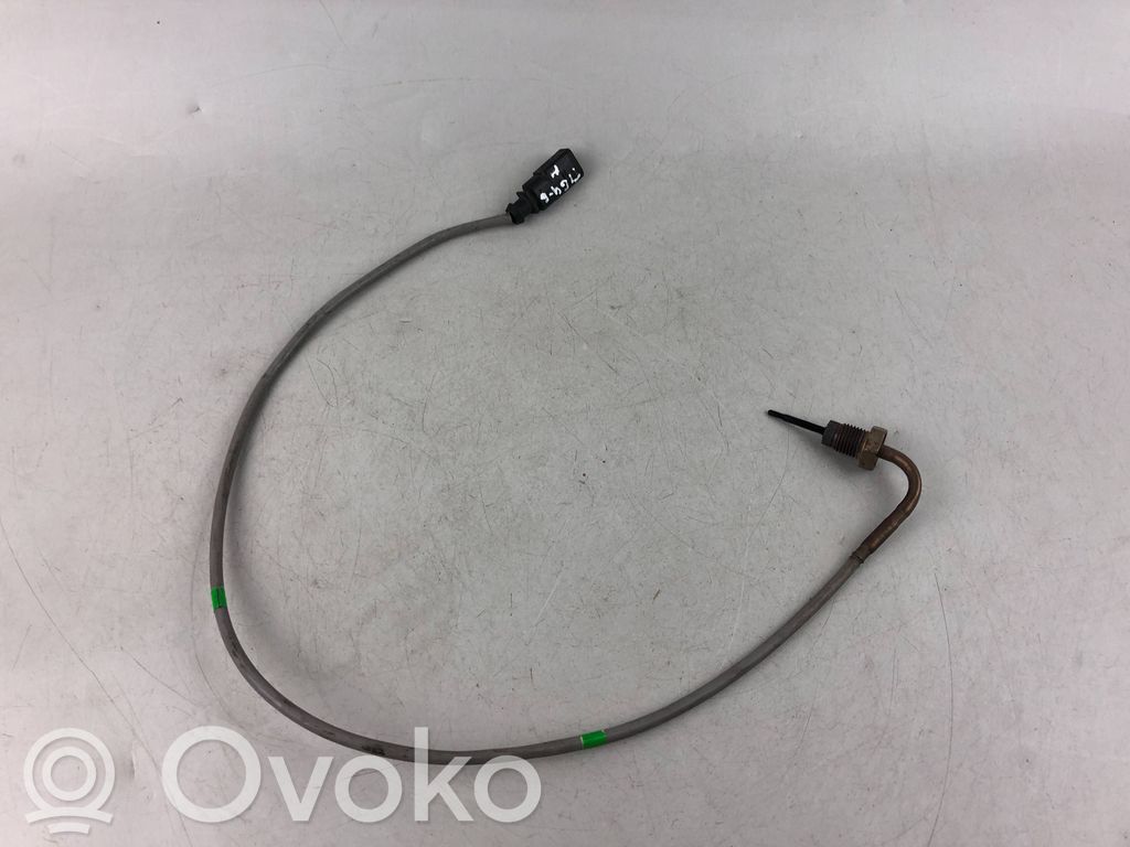 Volkswagen Tiguan Išmetamųjų dujų temperatūros daviklis 