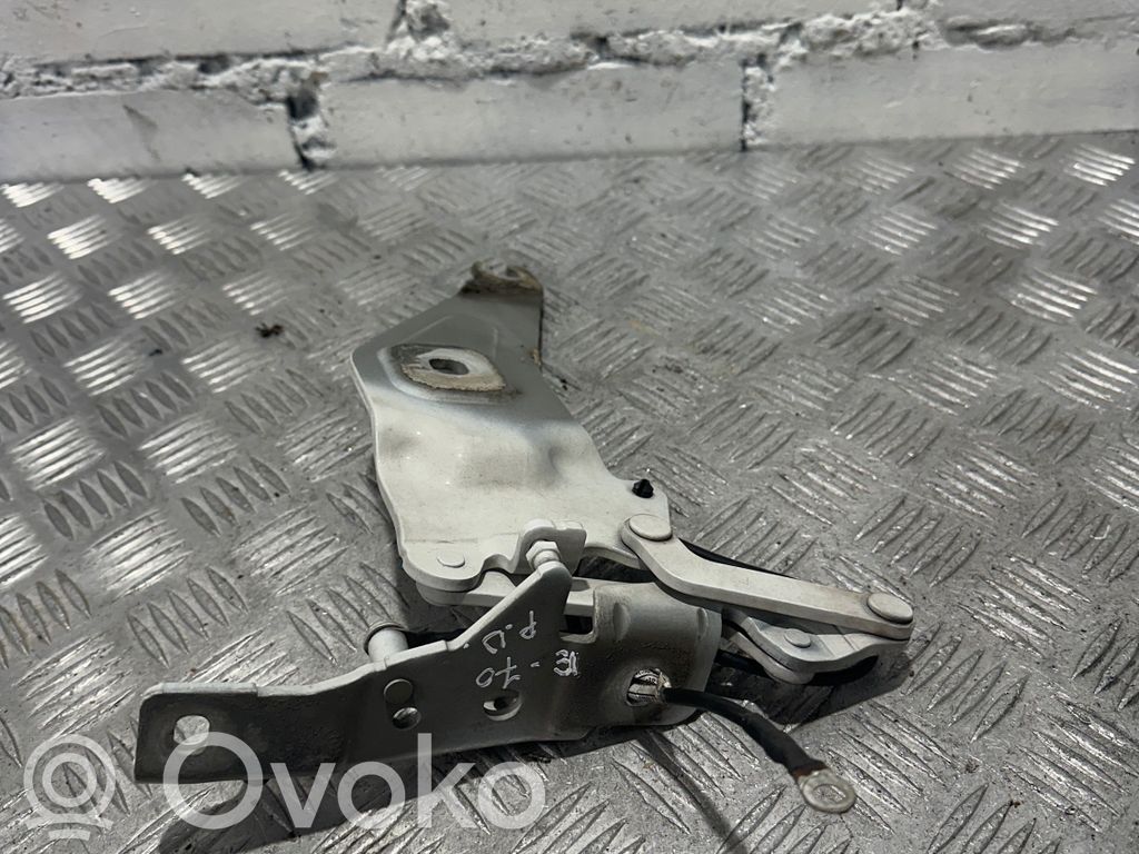 BMW X5 E70 Dzinēja pārsega eņģe (-es) 