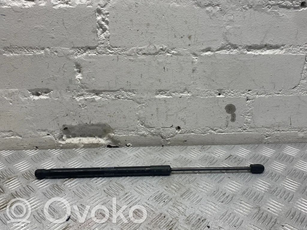BMW Z4 E89 Dzinēja pārsega amortizators 