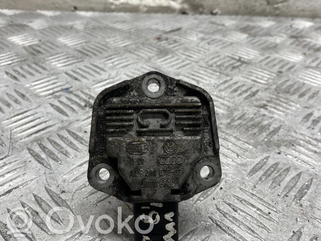 Volkswagen PASSAT B6 Tepalo lygio daviklis 