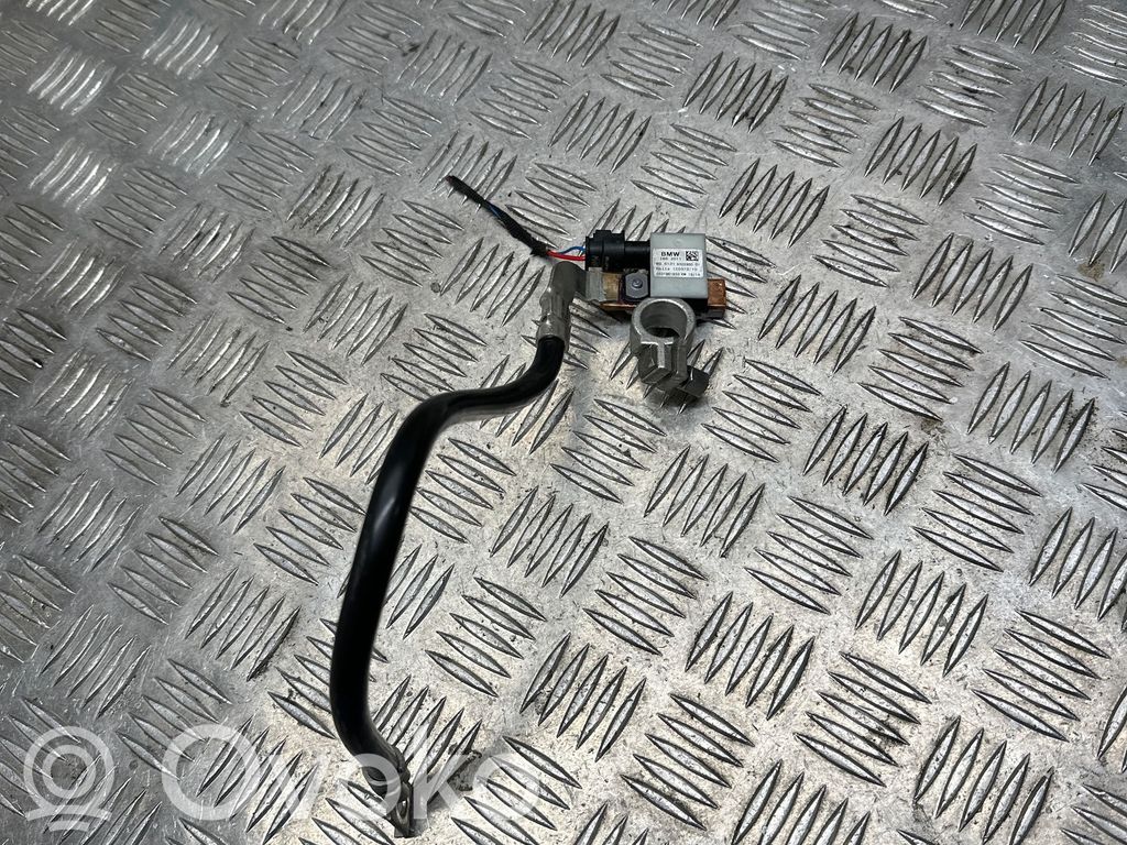 BMW 3 F30 F35 F31 Negative earth cable (battery) 